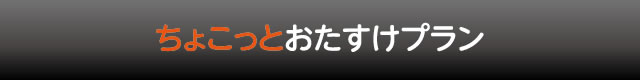 ちょこっとおたすけプラン